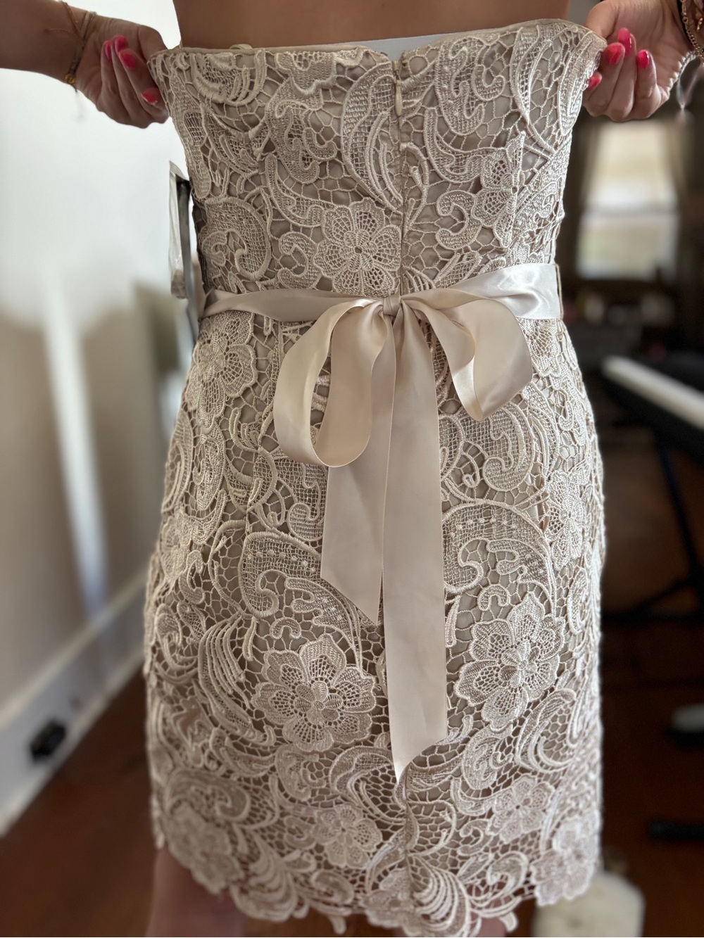 Adrianna Papell Strapless Lace Dress in Champagne
